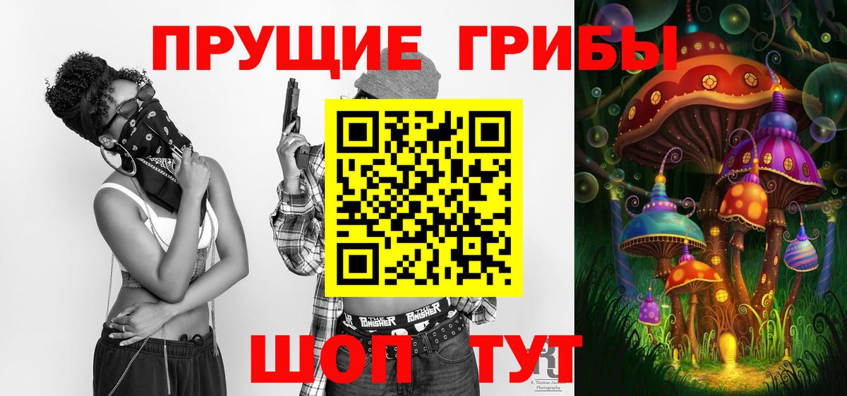 Псилоцибиновые грибы Psilocybine cubensis  Псилоцибиновые грибы GOLDEN TEACHER  Крымск  Вход с VPN 